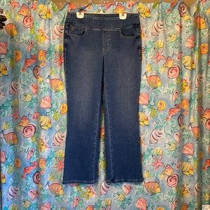 BELLE BY KIM GRAVEL FLEXIBELLE BOOT CUT JEANS